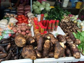 Root vegetables at Punta Gorda Market, Belize – Best Places In The World To Retire – International Living